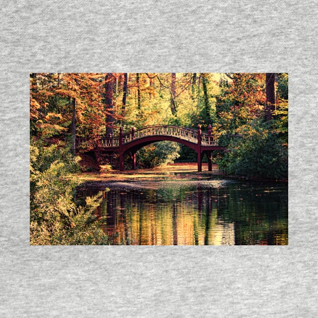 Crim Dell Bridge, William & Mary by tgass